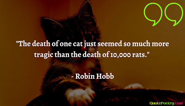 Death of a Cat Quotes