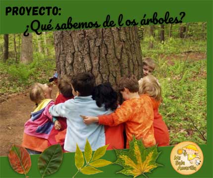 Mi Sala Amarilla: Proyecto escolar sobre árboles