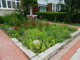 Paul Jung Gardening Services Avenue Road Toronto Front Garden Cleanup Before