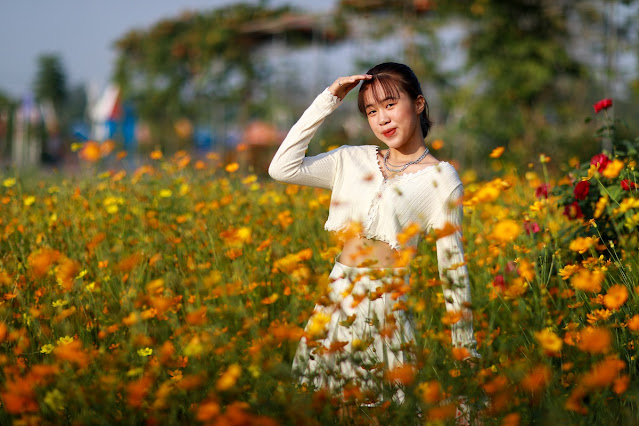 Cảnh đẹp cánh đồng hoa ở Huyện Hóc Môn, TPHCM dịp cận tết