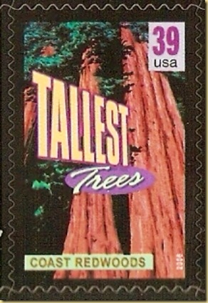 tree 1