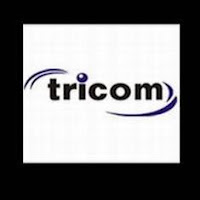 Tricom India's Q2 Consolidated Net Dips 17%