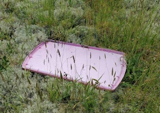 Pink plastic tote lid in meadow