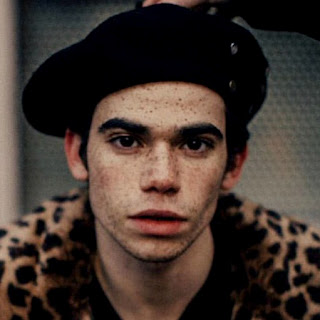 Cameron Boyce.