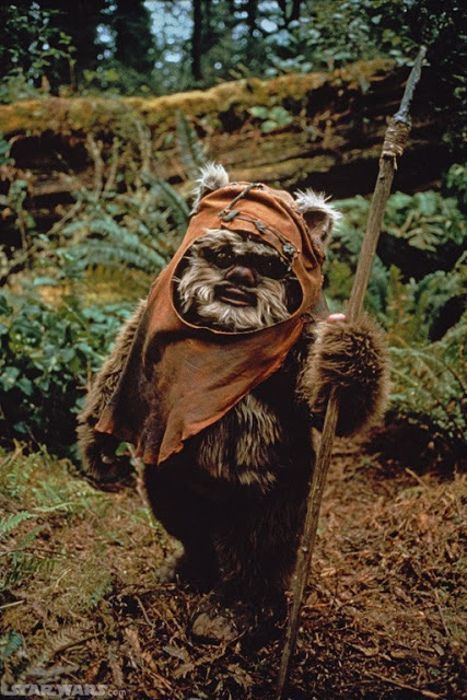 Dog Ewok Costume1