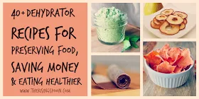 40 Dehydrator Recipes For Preserving Food, Saving Money & Eating Healthier