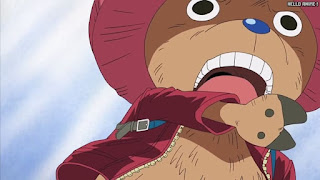 ワンピース アニメ エニエスロビー編 288話 チョッパー Tony Tony Chopper | ONE PIECE Episode 288 Enies Lobby