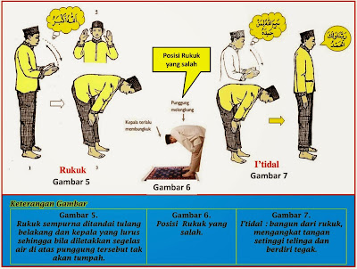 Hasil gambar untuk gerakan sholat