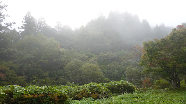 鳥取県日野郡日野町中菅 滝山（たきさん）公園