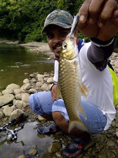 Teknik mancing masheer di sungai Aceh besar