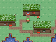 Pokemon Moss Lime & Coral Lapis Screenshot 00