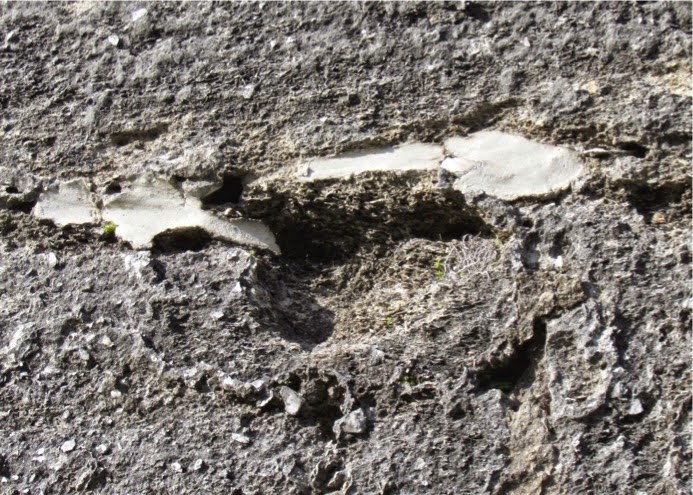 FoundontheWallofCastillodeSanMarcos-2-2015-02-27-08-24.jpg