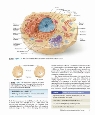 Vander's Human Physiology 15th Edition