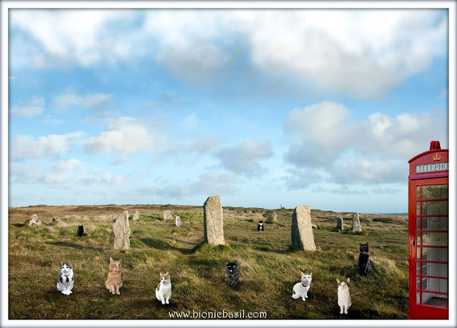 The B Team's Boskednan Stone Circle Selfie ©BionicBasil® Sunday Selfies Blog Hop