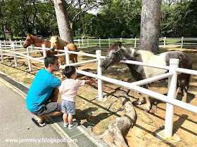 Gallop Stable Pasir Ris