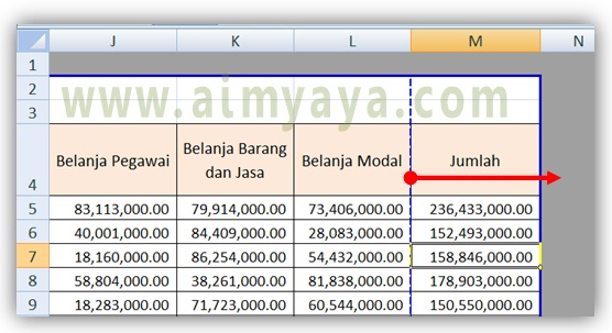 Setelah mengatur orientasi dan menentukan ukuran kertas sebelum mencetak dokumen excel hal ya Cara Mencetak Semua Kolom Excel dalam Satu Lembar Kertas