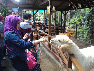 Tarikan di KL Tower Mini Zoo 