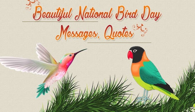  Beautiful National Bird Day Messages, Bird Quotes, Bird Day Greetings