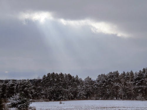 Tyndall effect