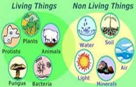 Characteristics of Living Things and Non-living Things