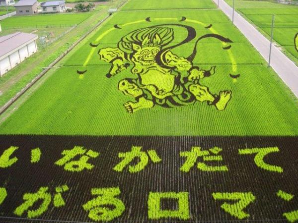 Japanese Rice Field Creative Art Work - AmAzing Photos Seen On lolpicturegallery.blogspot.com