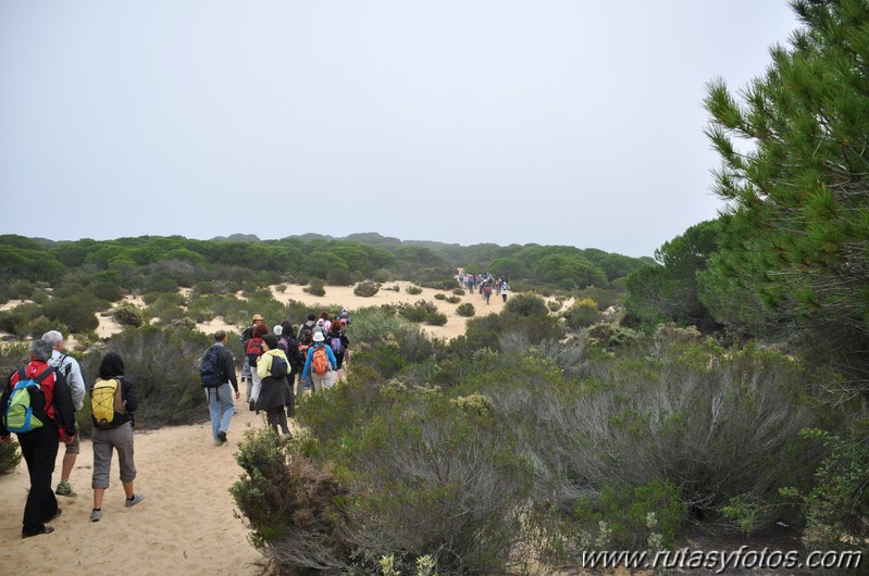 Laguna del Jaral - El Asperillo