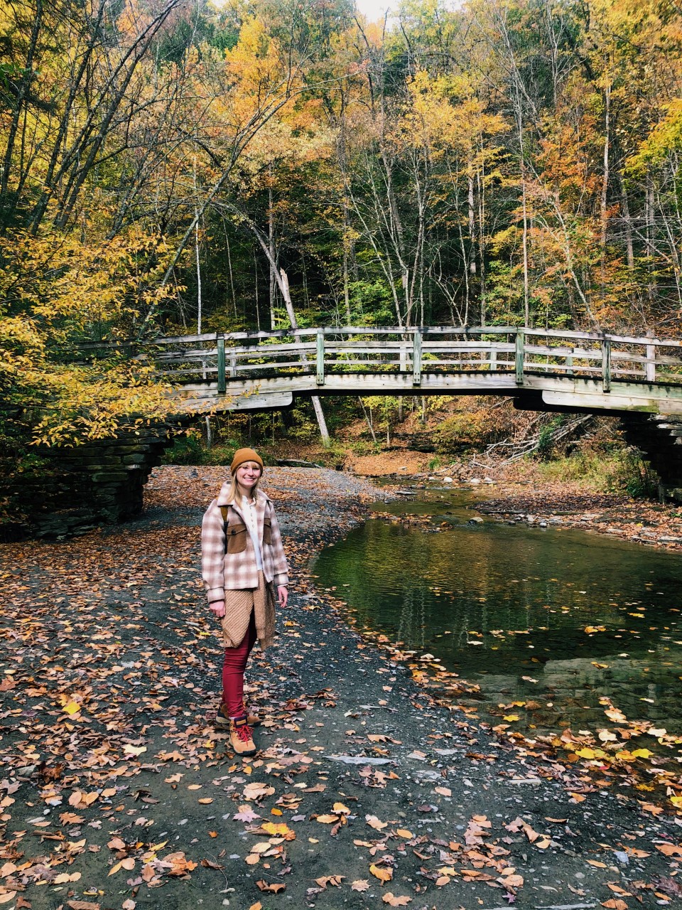 Hiking at Robert H. Treman State Park | Organized Mess