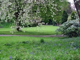 SPRING...