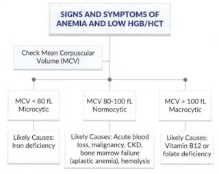 Types of Anaemia