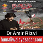 http://www.humaliwalayazadar.com/2015/10/dr-amir-rizvi-nohay-2016.html