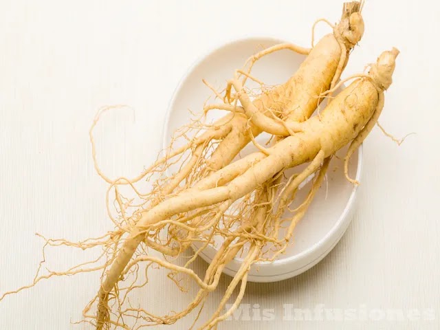 Efectos secundarios y contraindicaciones del ginseng