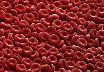 darah merah, cara tambah darah, bagaimana nak tambah darah dalam badan