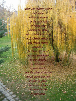 Our Wedding Day 12 02 06 to you my Love when the willows yellow wedding poem