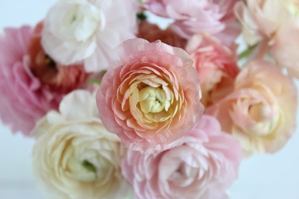 The Bouqs Flowers Review