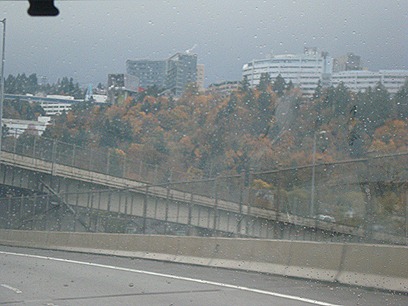 DSC03106