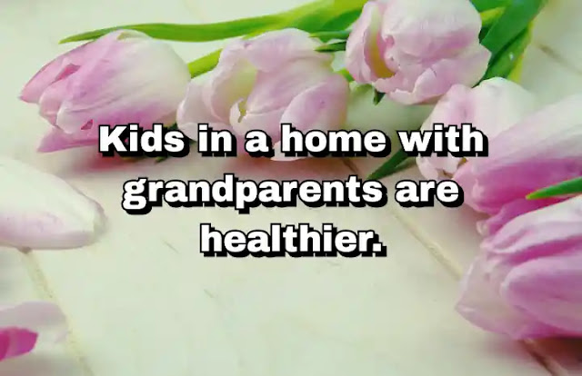 "Kids in a home with grandparents are healthier." ~ Dan Buettner