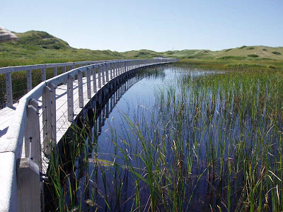 The beach is just over the dunes on the horizon. You can see why the walkway is elevated.