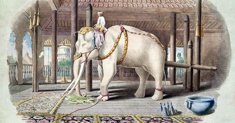 The fascinating origin of white elephant gifts - RV Travel