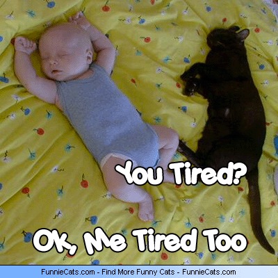 me_tired_too-7069-2011-09-26-16-23.jpg