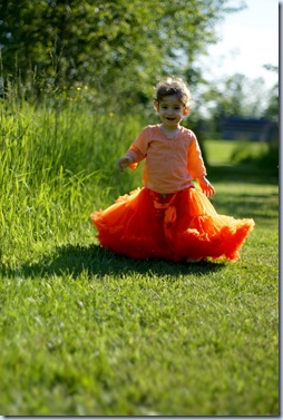 SONY DSC