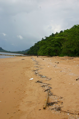   Garbage still washes up daily.