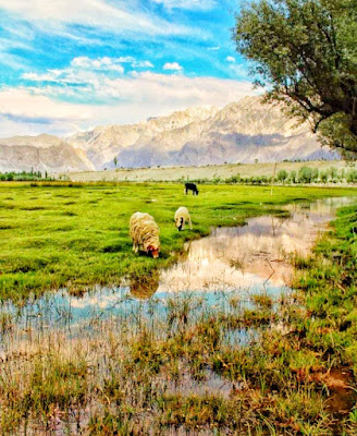 صحرا کتپناہ - دلکشی ، موسم اور سرد صحرائی اسکردو کا قدرتی مقام Desert Katpana - Attractive, Weather And Cold Desert Skardu Natural Place