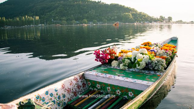Kashmir Me Ghumne Ki Gajah | travel hindi blog |