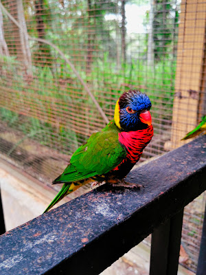 KL Bird Park - Welcome You and Your Family Now