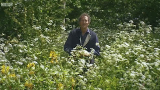 Monty Don