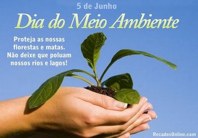 Escolha a sua e compartilhe seu romantismo com seu amor! Frases De Meio Ambiente Quotes Links