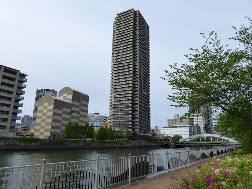 川沿いのマンションを見ると男女7人夏物語を思い出します
