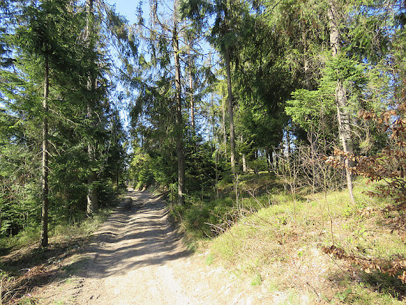 Kurasów Wierch (879 m n.p.m.)