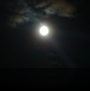 DSC00733