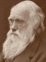 Darwin1874s